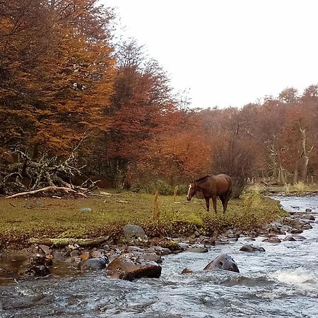 Bosque Holistico Del Fin Del Mundo Otel Ushuaia Oda fotoğraf