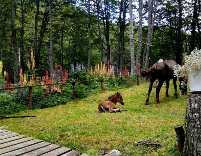 Bosque Holistico Del Fin Del Mundo Otel Ushuaia Dış mekan fotoğraf