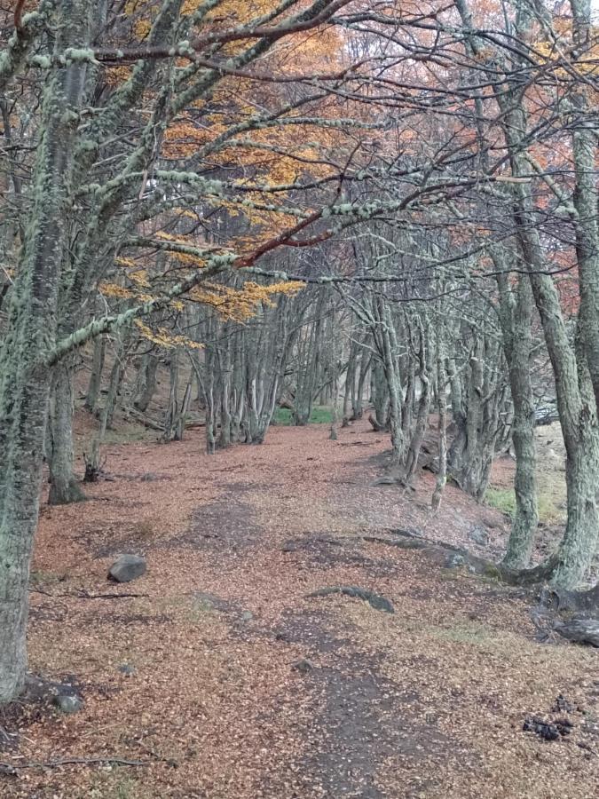 Bosque Holistico Del Fin Del Mundo Otel Ushuaia Dış mekan fotoğraf